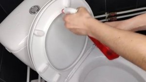 Как отмыть унитаз, чтобы он был идеально белый и чистый 💥 Результат потрясающий!