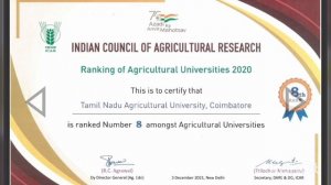 TNAU - Expected cutoff Marks (Government + Affiliated college) - Previous year comparison.