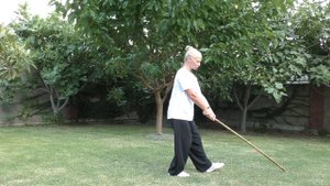 1. Комплекс с палкой "feng mo gun". Традиционное УШУ. (Wushu, Complex with a stick, the 1 part).