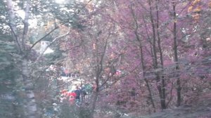 УЧЕБНАЯ ПОЖАРНАЯ ТРЕВОГА В ШКОЛЕ.