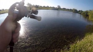 Fishing INSANE Farm Pond Full Of HUNGRY Bass | Late Summer Fishing