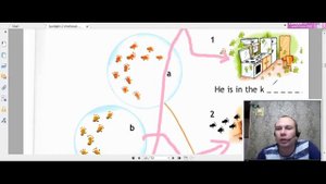 Английский язык 2 класс Spotlight 2 Рабочая тетрадь стр. 18-19 Spotlight 2 Workbook.