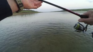 щука 2800, с берега.