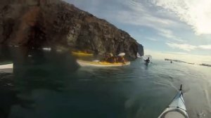 Greenland Sea Kayaking and Sailing