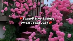 💖ТАНЦУЙ ЕСЛИ ЗНАЕШЬ ЭТОТ ТРЕНД 2024💖