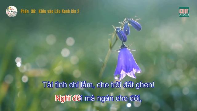 P36 |TRUYỆN KIỀU | NGUYỄN DU | Ngâm thơ Kiều [sub]: Kiều vào Lầu Xanh lần 2 смотреть онлайн