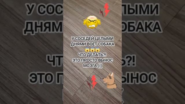 Вынос мозга сутками! Воет собака! Что делать???!!!