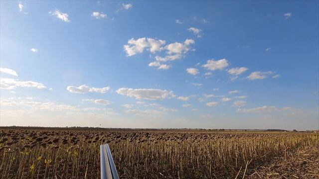 Лучшие выстрелы по птице сезона весна-осень 2022 года