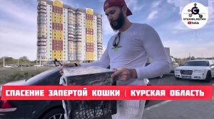 Чудесное спасение запертой кошки в городе Курчатов Курской области