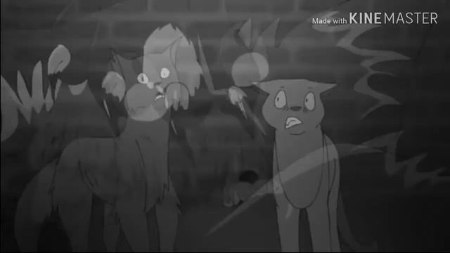 Клип про котов воителей - не такой как я ! смотреть онлайн