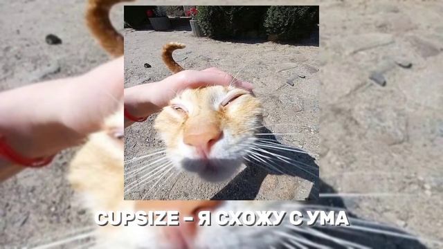 ВСЕ ПЕСНИ CUPSIZE, ПЛЕЙЛИСТ КАПСАЙЗ смотреть онлайн