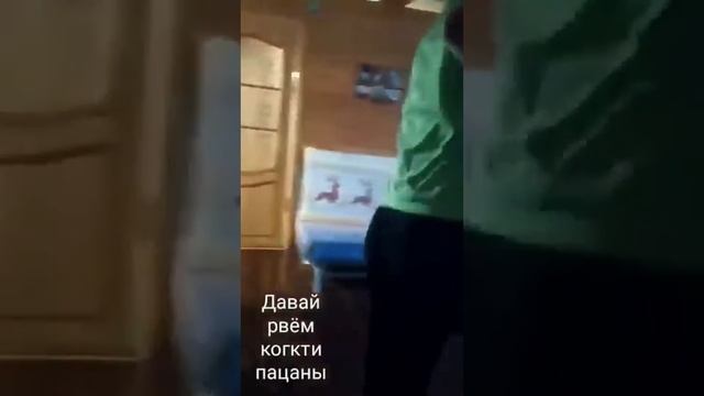 Барда, барда смотреть онлайн