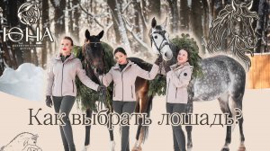 КАК ВЫБРАТЬ ЛОШАДЬ