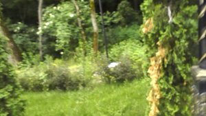 DSCN4089 Терский конный завод,Железноводск