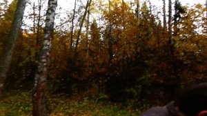 Осенний сталк по заброшенным лагерям