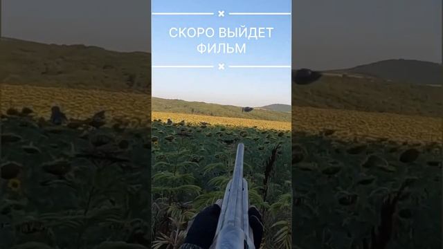 Охоты на вяхиря/ скоро будет фильм смотреть онлайн