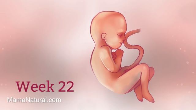 Pregnancy Week-By-Week 🌟 Weeks 3-42 Fetal Development 👶🏼 смотреть онлайн