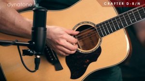 Обзор акустической гитары CRAFTER D-8/N