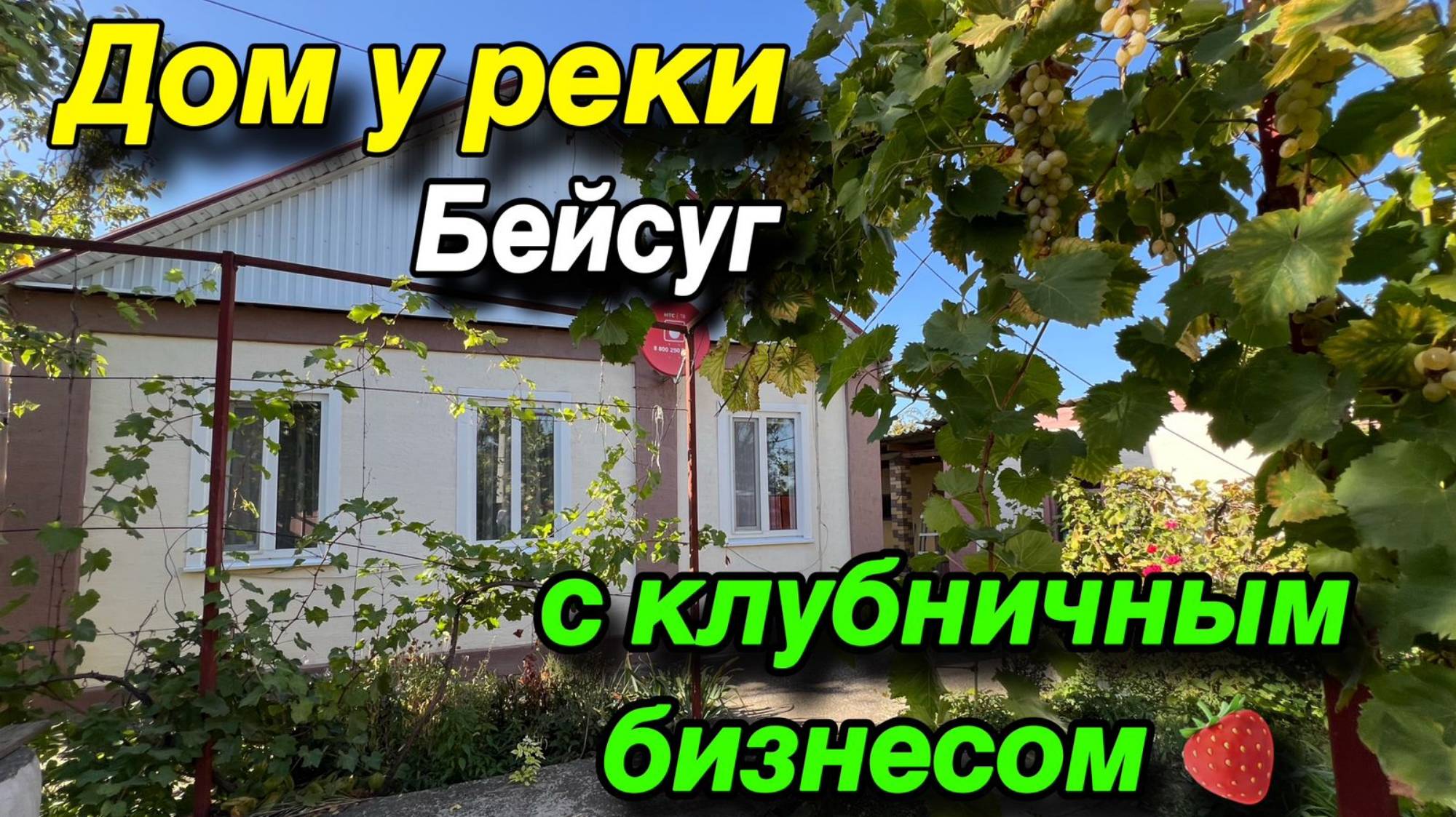 Дом у реки БЕЙСУГ/ с Клубничным бизнесом