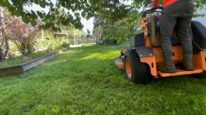 Most SATISFYING FREE OVERGROWN LAWN now a weekly mow