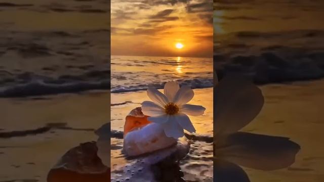 Красивый закат на море🌅

#красивый #закат #наморе