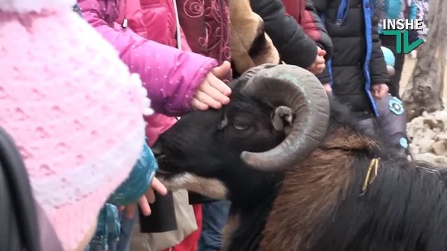 Водим козу в Николаевском зоопарке смотреть онлайн