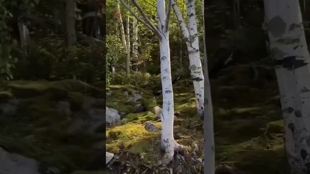 Экопарк Южный Байкал. Забронировать отдых в экопарке  можно на нашем сайте https://ozera.club/