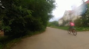 Электрошокер против собак 3