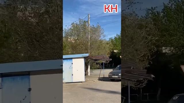 Унесённые ветром СГ