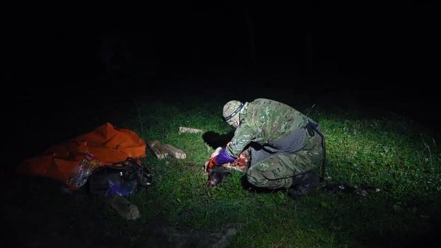 Разделка кабана. Wild boar butchering and skinning