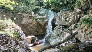 Поездка в поселок Никитино 2024 год