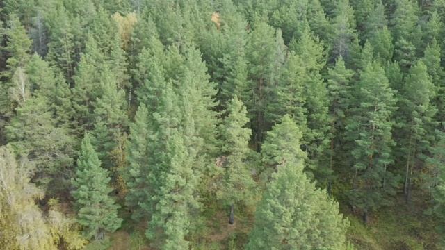 Река Пышма. Красный камень - старая фабрика