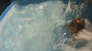 little girls swimming with their parents and siblings in hot summer