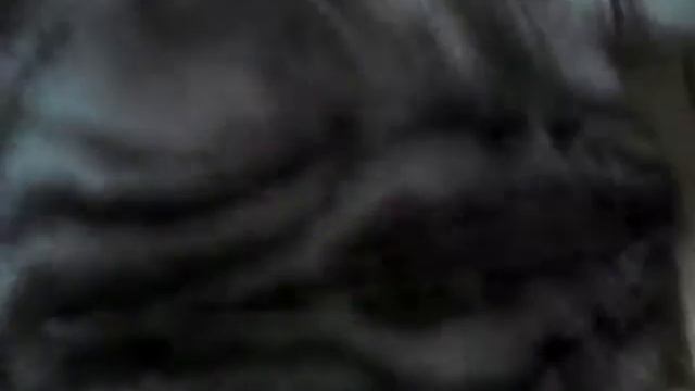 Конь кондуктор доктор конь
