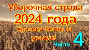 Уборочная страда 2024 года. День за днем .14-19 сентября 2024 года.