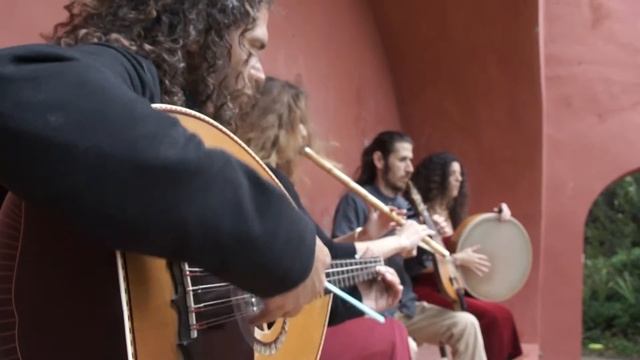 THE SNAIL DANCE смотреть онлайн