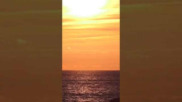 Как Начать Просыпаться Рано смотреть онлайн