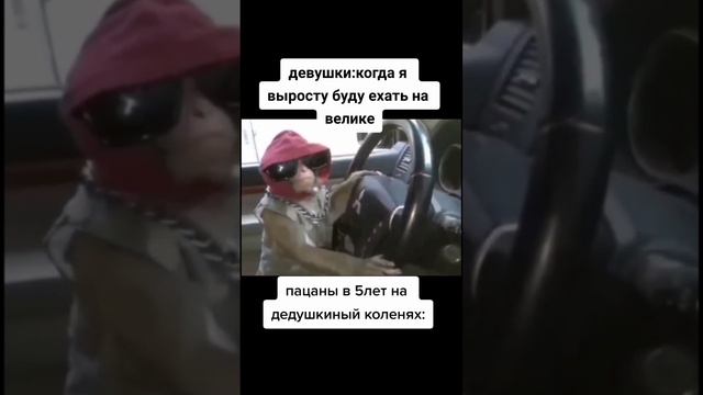 #рекомендации