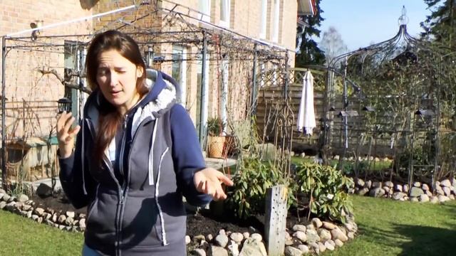 Guerrilla Gardening Results: Strawberries from seed on How to Grow a Garden with Scarlett смотреть онлайн