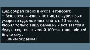 Как Жена Командира Части в Общий Сортир Зашла! Сборник Свежих Анекдотов! Юмор!