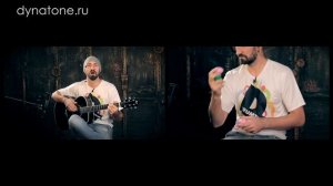 Обзор шейкеров Flight Percussion | Ручная перкуссия