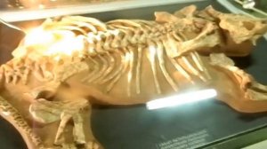 Поездка в Казань ;)