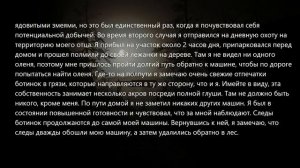 Что Самое Странное/Страшное Вы Видели в ЛЕСУ? #5