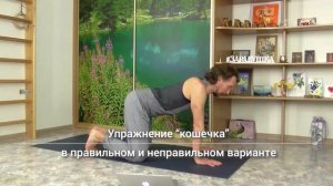Универсальная формула здоровья. Целостное движение.  3 шага к здоровью.  Здоровый позвоночник.