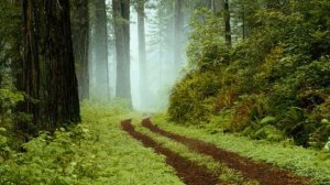 Enya - One toy soldiers