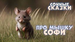Сонные сказки | про мышку Софи | для сна | тихий мужской голос