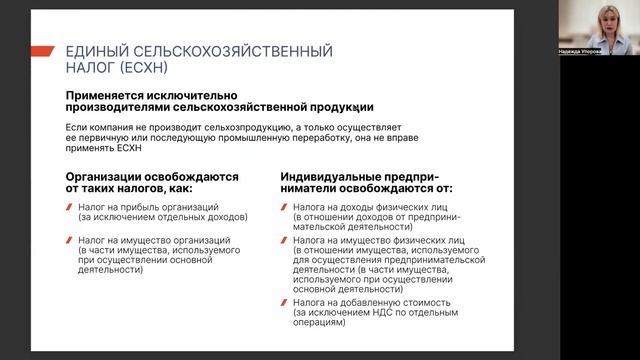 Стоит ли регистрировать самозанятого? Сравнение налогов, плюсов и минусов самозанятого, ИП и ООО.