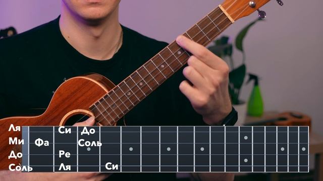 1 урок. Поиск нот на укулеле. Теория музыки на укулеле