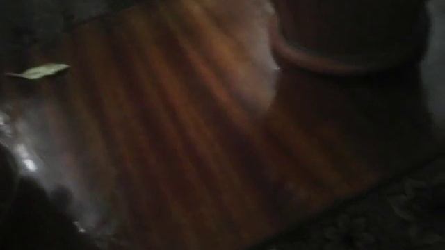 сериал enchantimals мы не подруги часть 5 смотреть онлайн