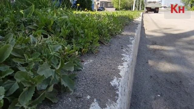 Бордюры почистить забыли
